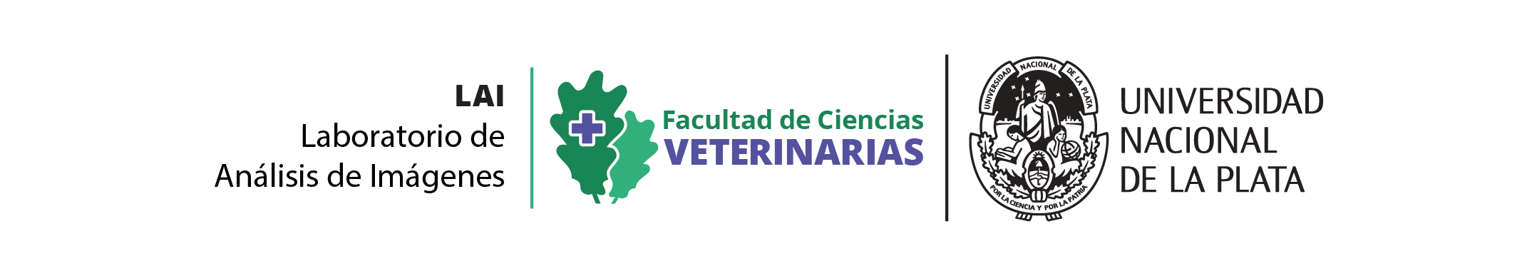Laboratorio de Análisis de Imágenes logo